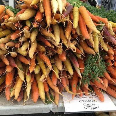Carrots - Rainbow [Bunch]