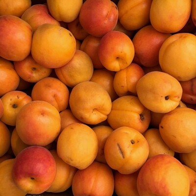 Dried Apricots