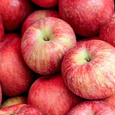 Apples - Gala