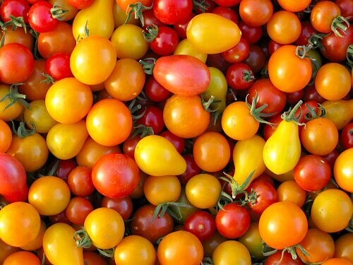 Tomatoes - Frozen Cherry