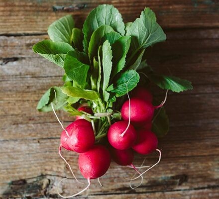 Radishes - Regular
