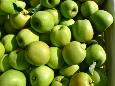 Apples - Mutsu