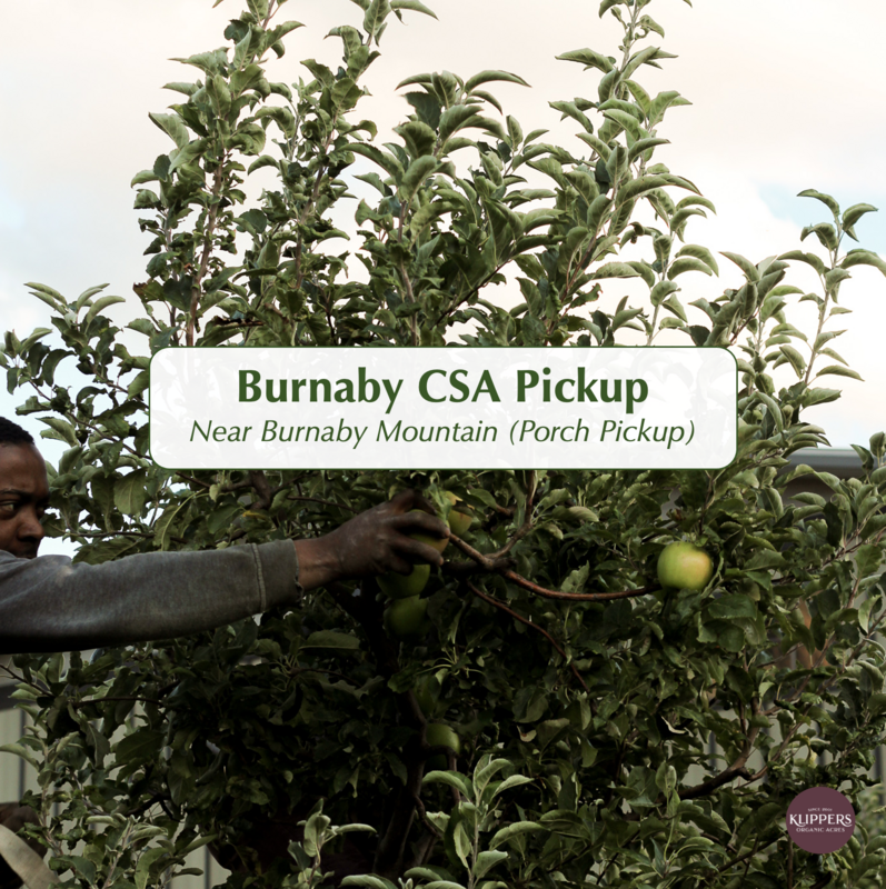 Summer CSA Wednesday Pickup near Burnaby Mt