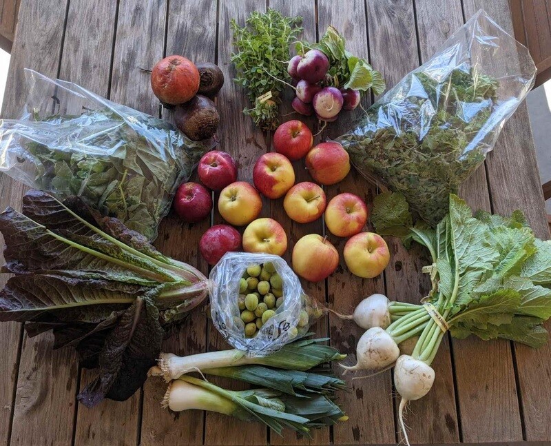 Vancouver Farmer's Market CSA Pickup