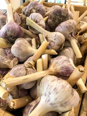 Garlic Dust
