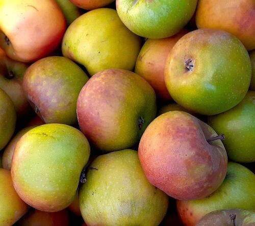 Apple Sugar