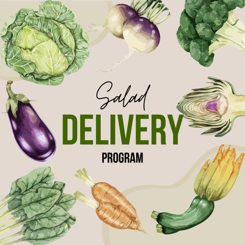 Salad Delivery Program (Keremeos/Cawston)