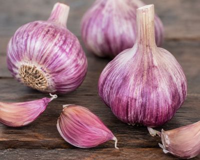 Garlic