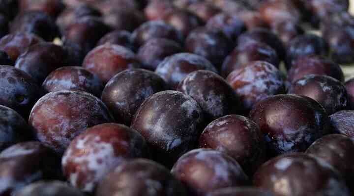 Plums - Black