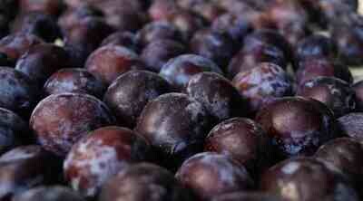 Plums - Black