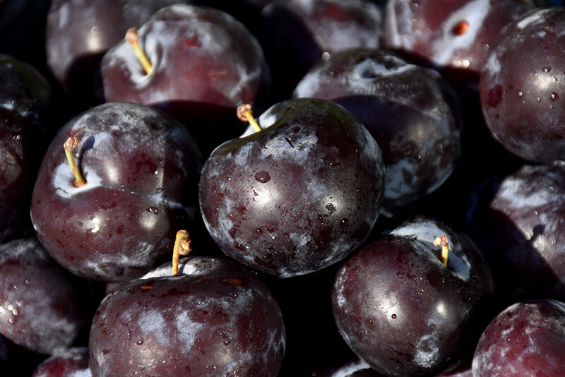 Plums - Black