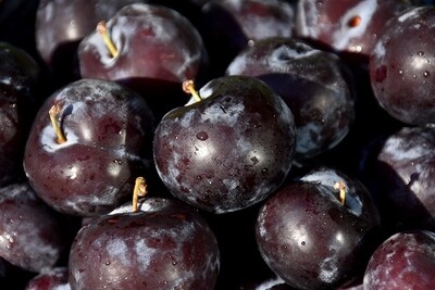 Plums - Black