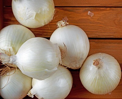 Onions - White