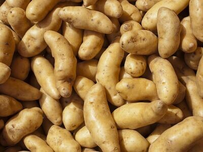 Potatoes - Fingerling