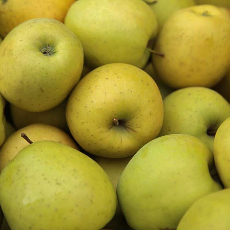 Apples - Golden Delicious