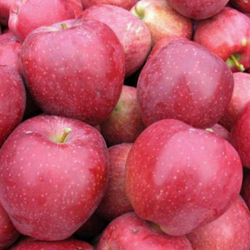 Apples - Red Delicious
