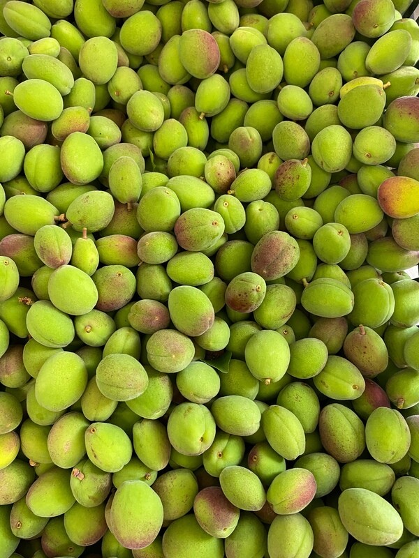 Green Apricots