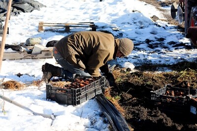 CSA Share [Winter] Klippers Marketplace &amp; Cafe (Cawston)