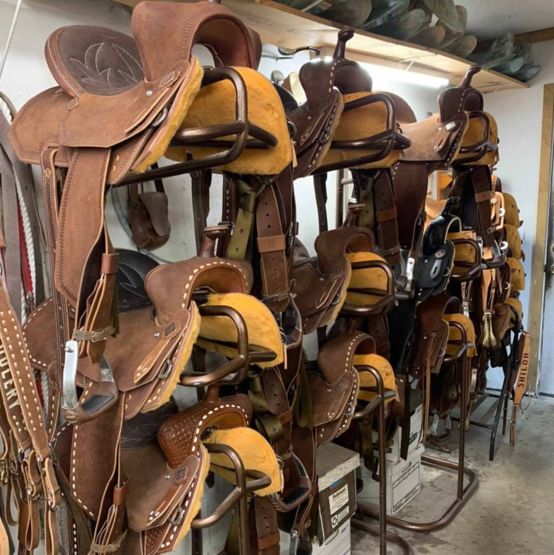 Saddles Store Shiloh Saddlery