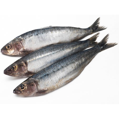 Whole Sardines (1kg)