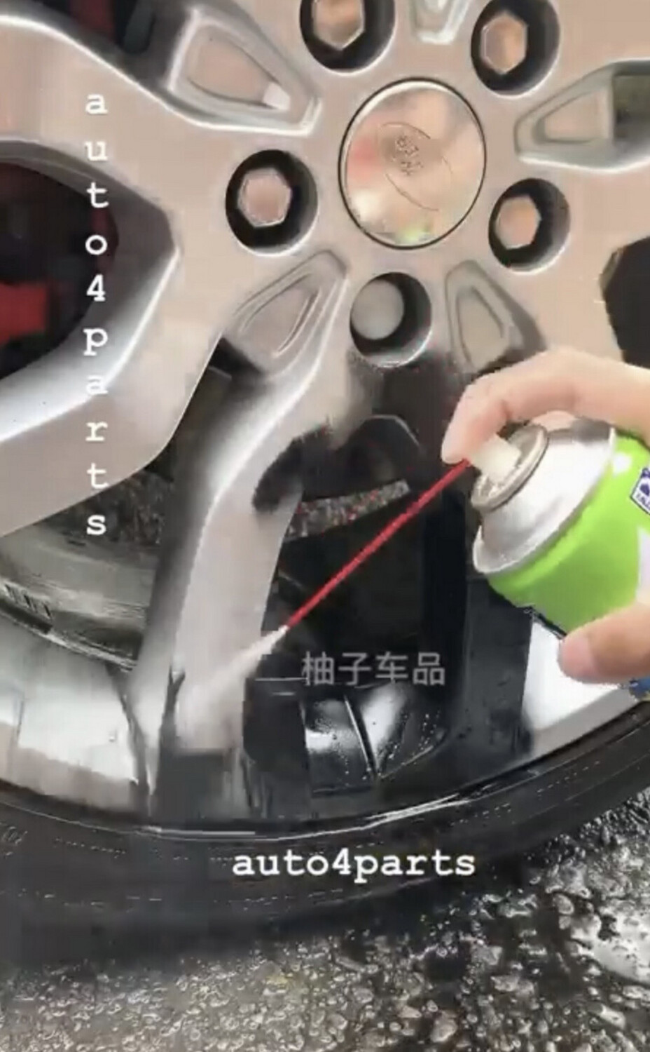 Car Paint Cleaner 300ML