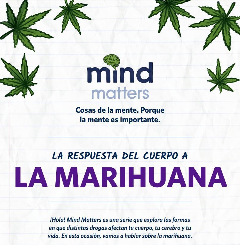 Mind Matters The Body's Response to Marijuana