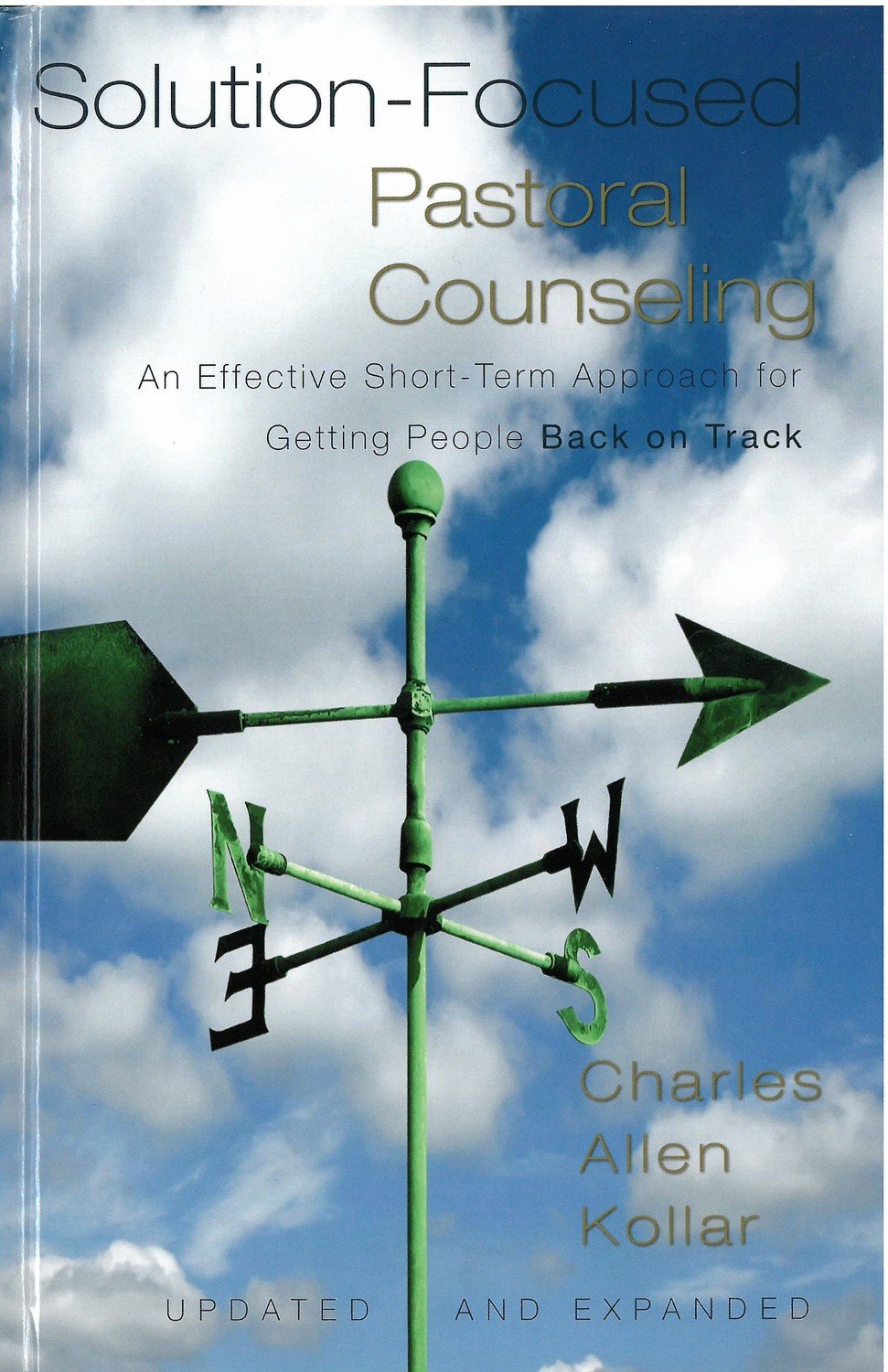 Solution-Focused Pastoral Counseling: An Effective Short-Term Approach ...