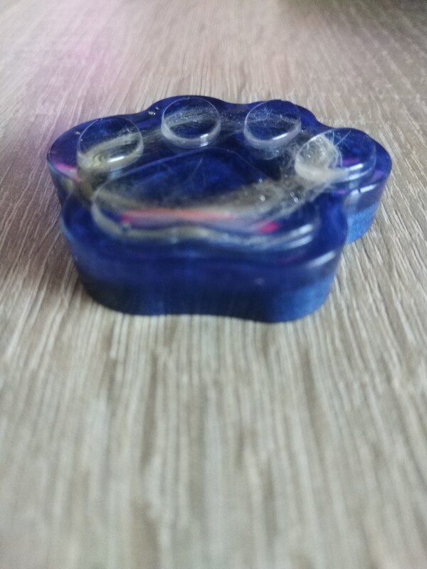 Pfotenabdruck mit Tierhaar