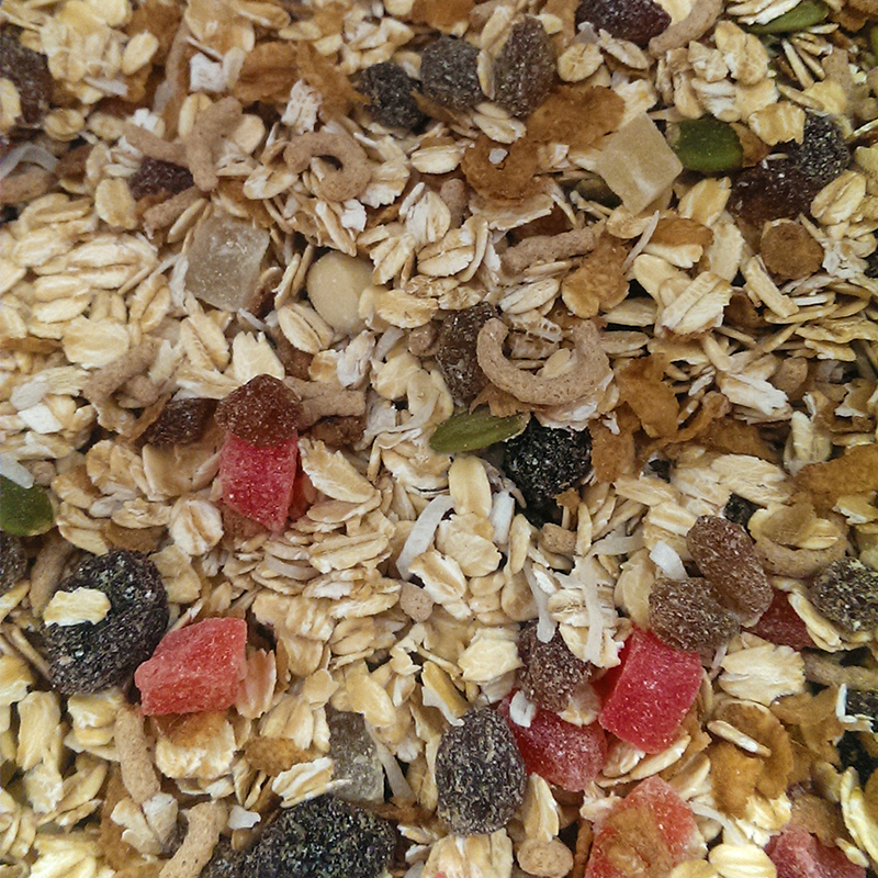 MUESLI TROPICAL