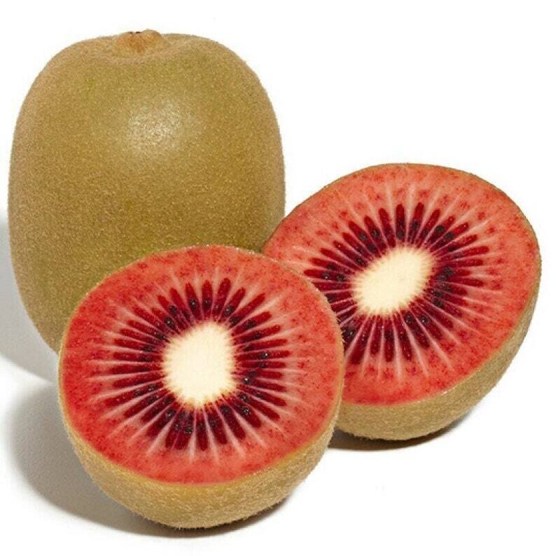 Ruby Red Fleshed Kiwi - Actinidia sp. 'Red' | Rare Plant Seeds | Whimsy ...