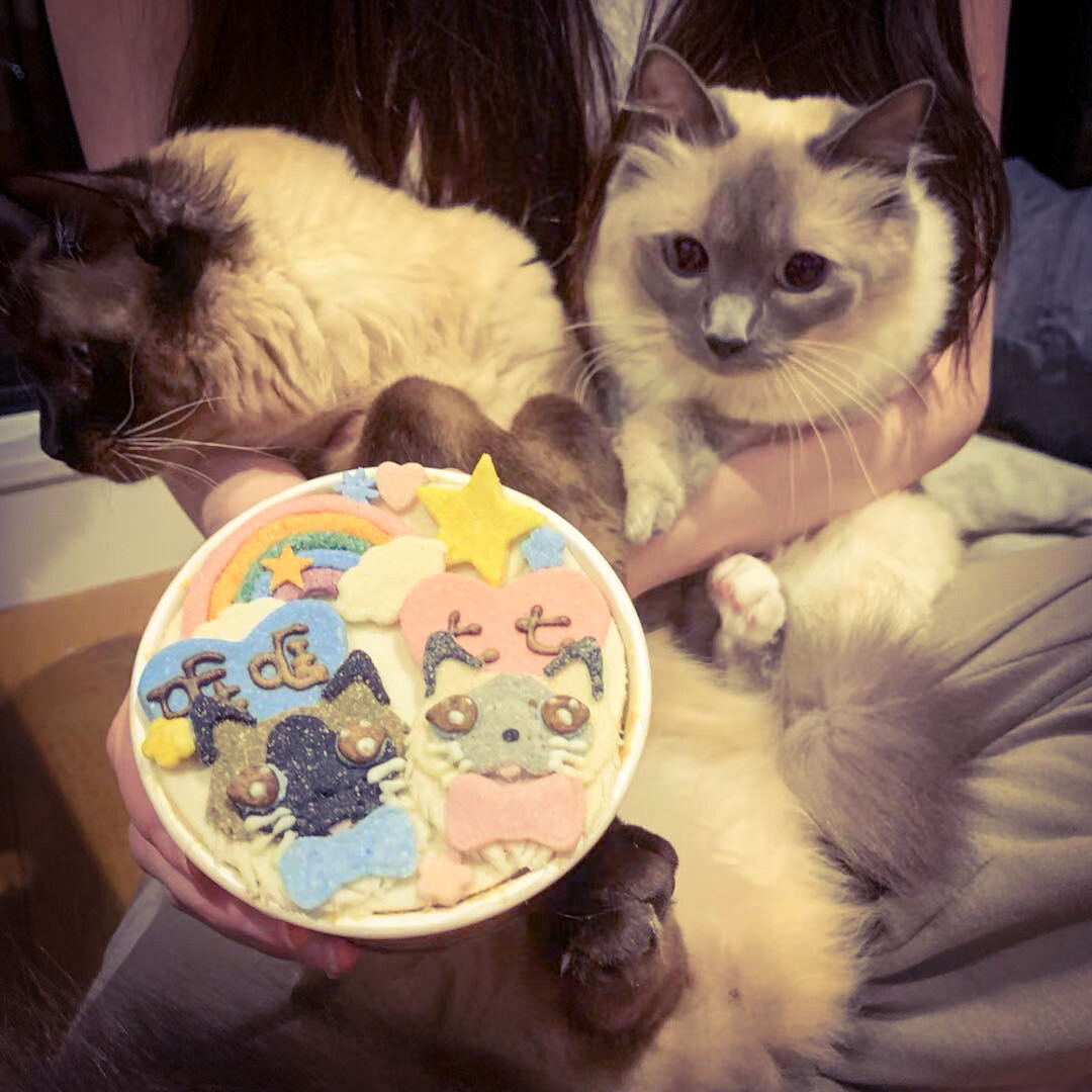 Cat Kitty Birthday Cake All Natural Healthy Yummy