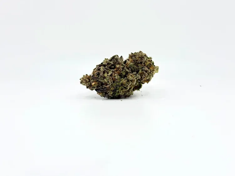THCA - Small Flower - Cream Cake 4908