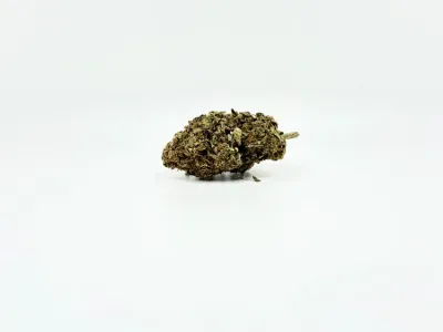 THCA - Exotic Flower - Jokerz 7383