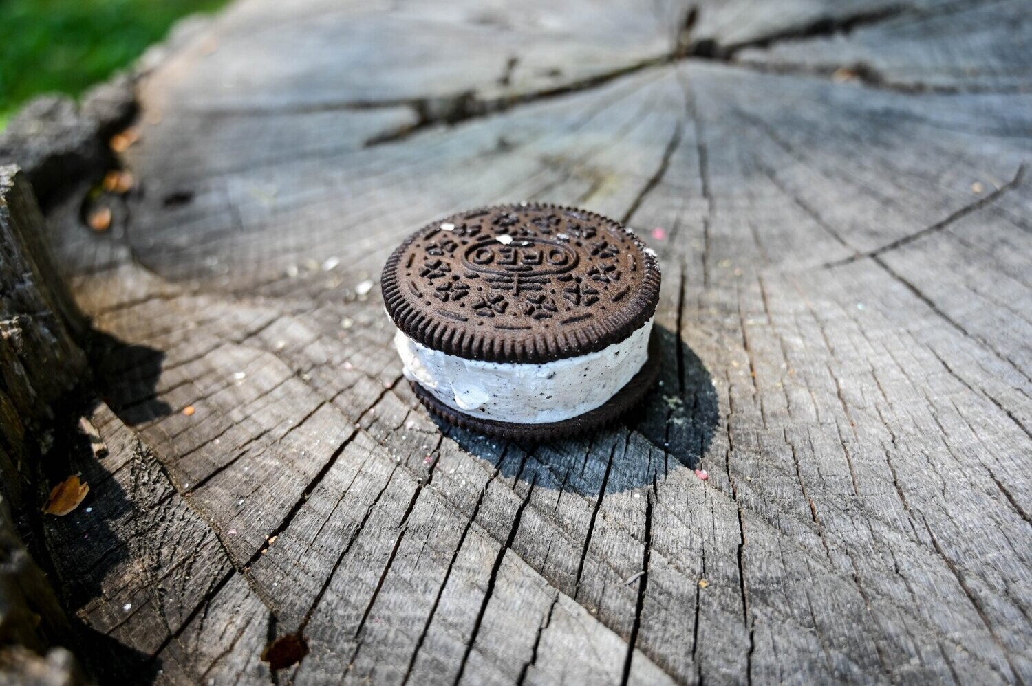 Freeze Dried Oreo Ice Cream Sandwich