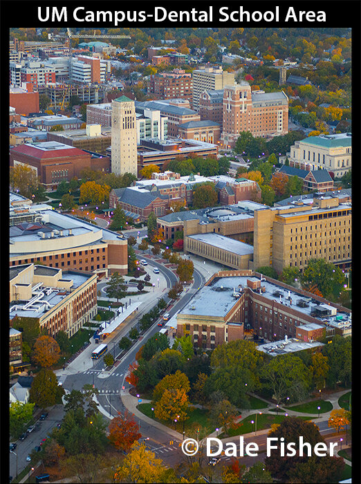 U of M Dental School & Business Area