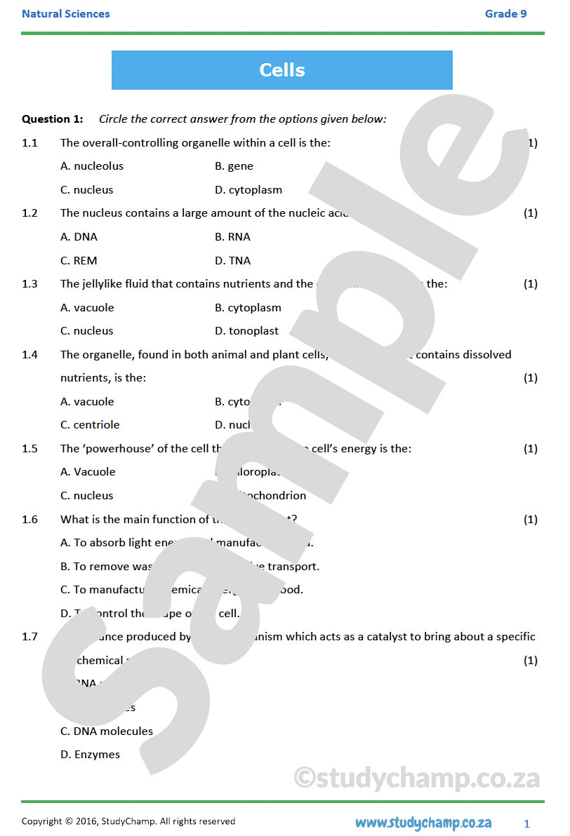 Grade 9 Natural Sciences Test Cells