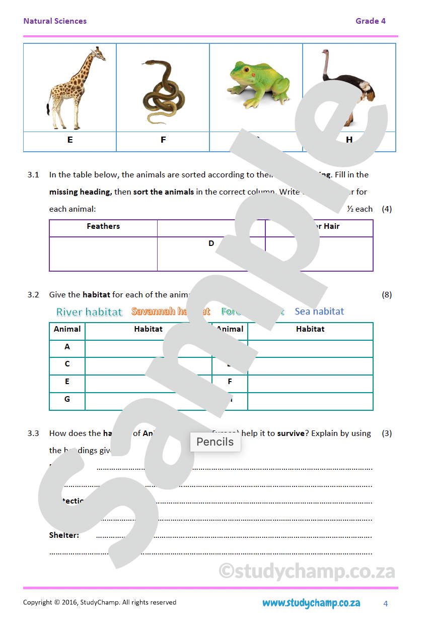 Grade 4 Natural Sciences Test Animals and Habitats