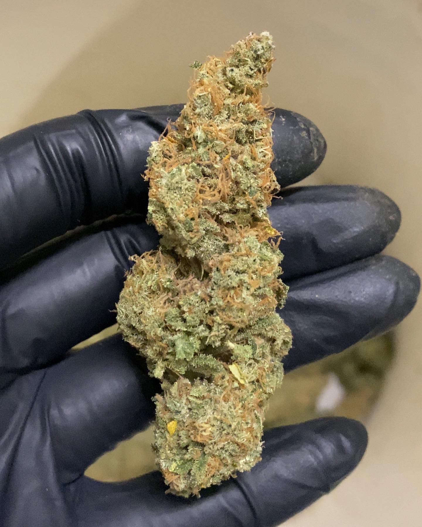 HHC, HHCPBlüten & Hasch