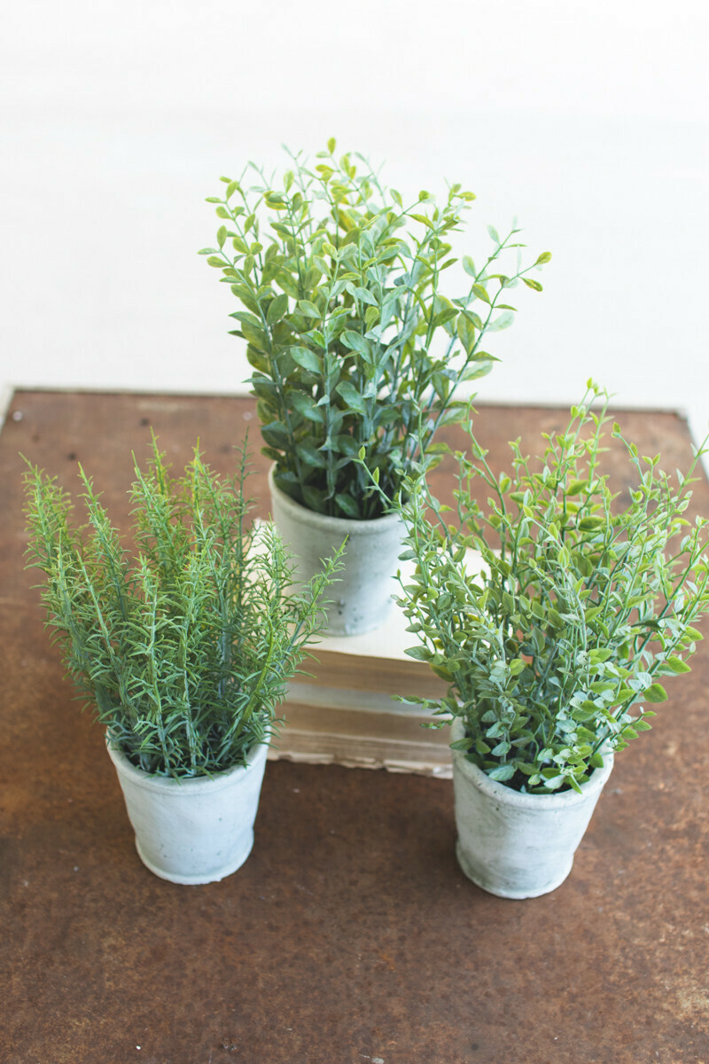 Set of 3 artificial herbs in cement pots