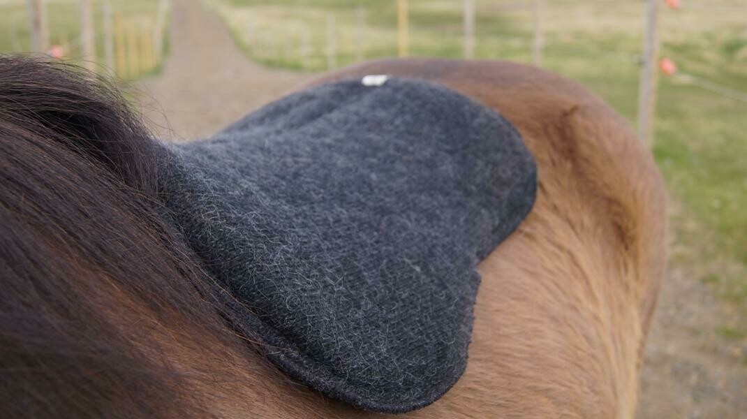 Kidka Icelandic Wool Saddle Pad