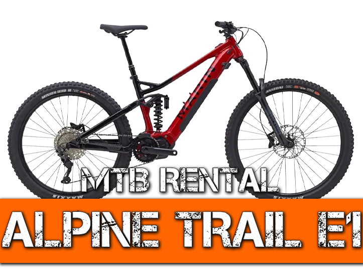 MOUNTAIN eBIKE (MTB) RENTAL GS Store Wildmex Surf School