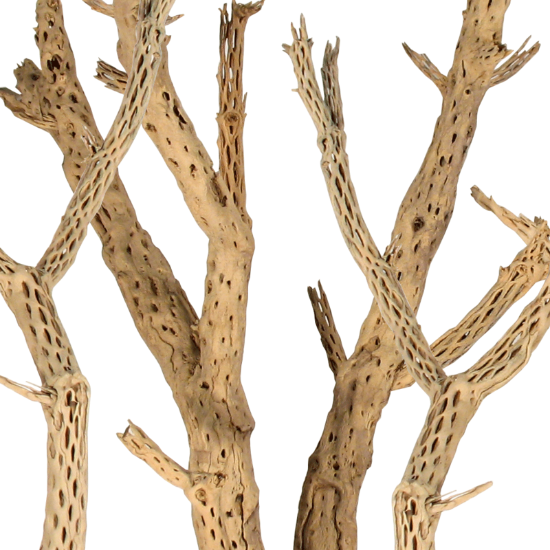 Wood Branches & Poles