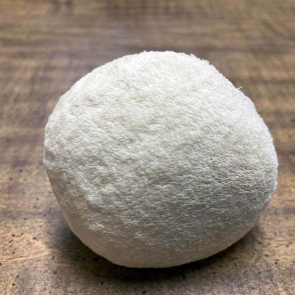 Fresh Lion's Mane Mushrooms Delivered!