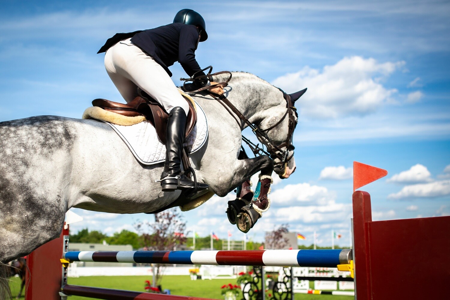 Training Show Jumping