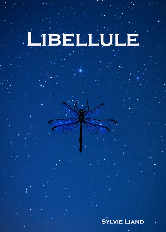 Libellule