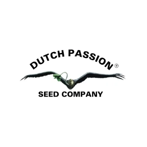 Dutch Passion