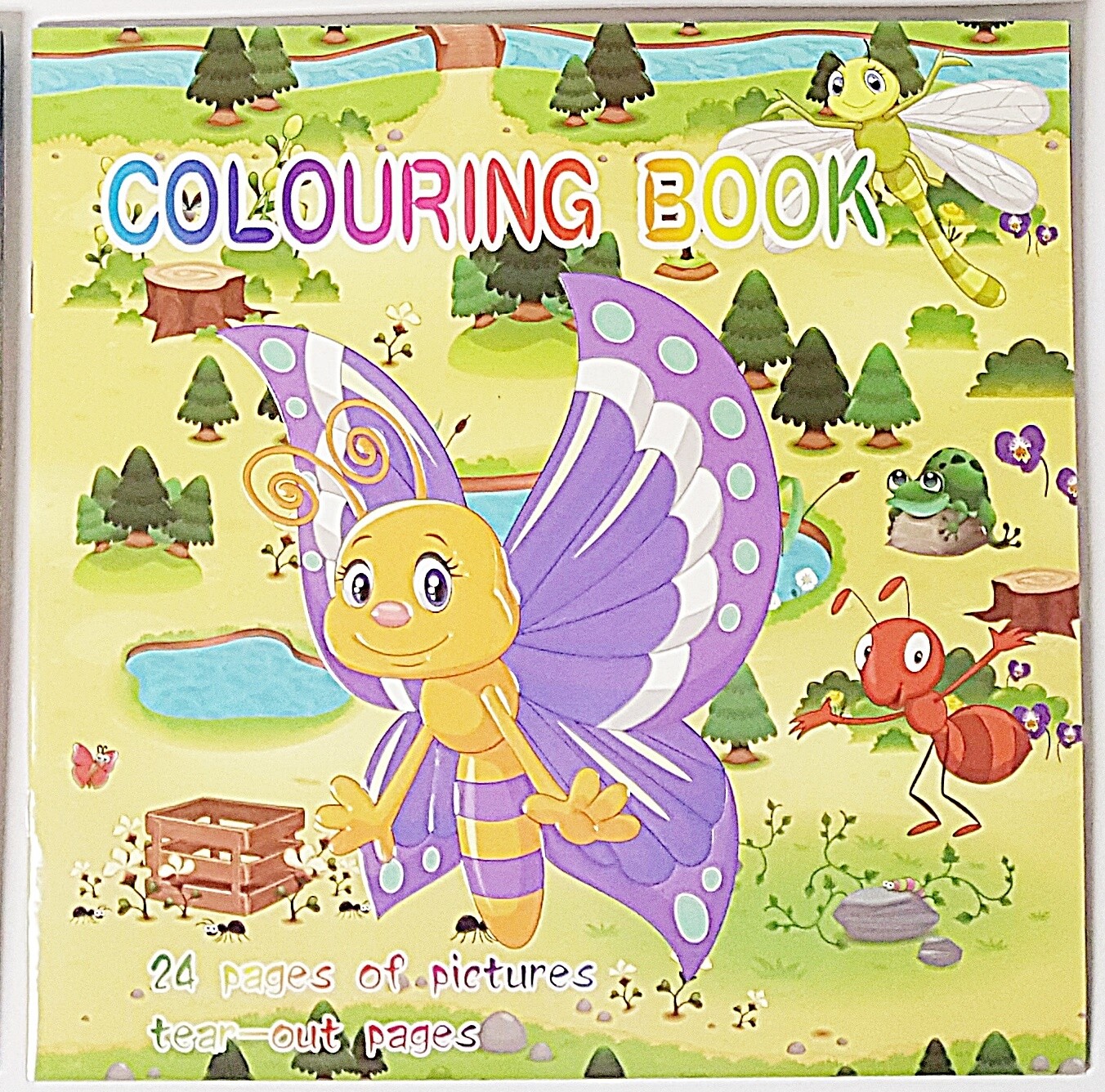 Colouring Book 24 Tear Out Pages Butterfly
