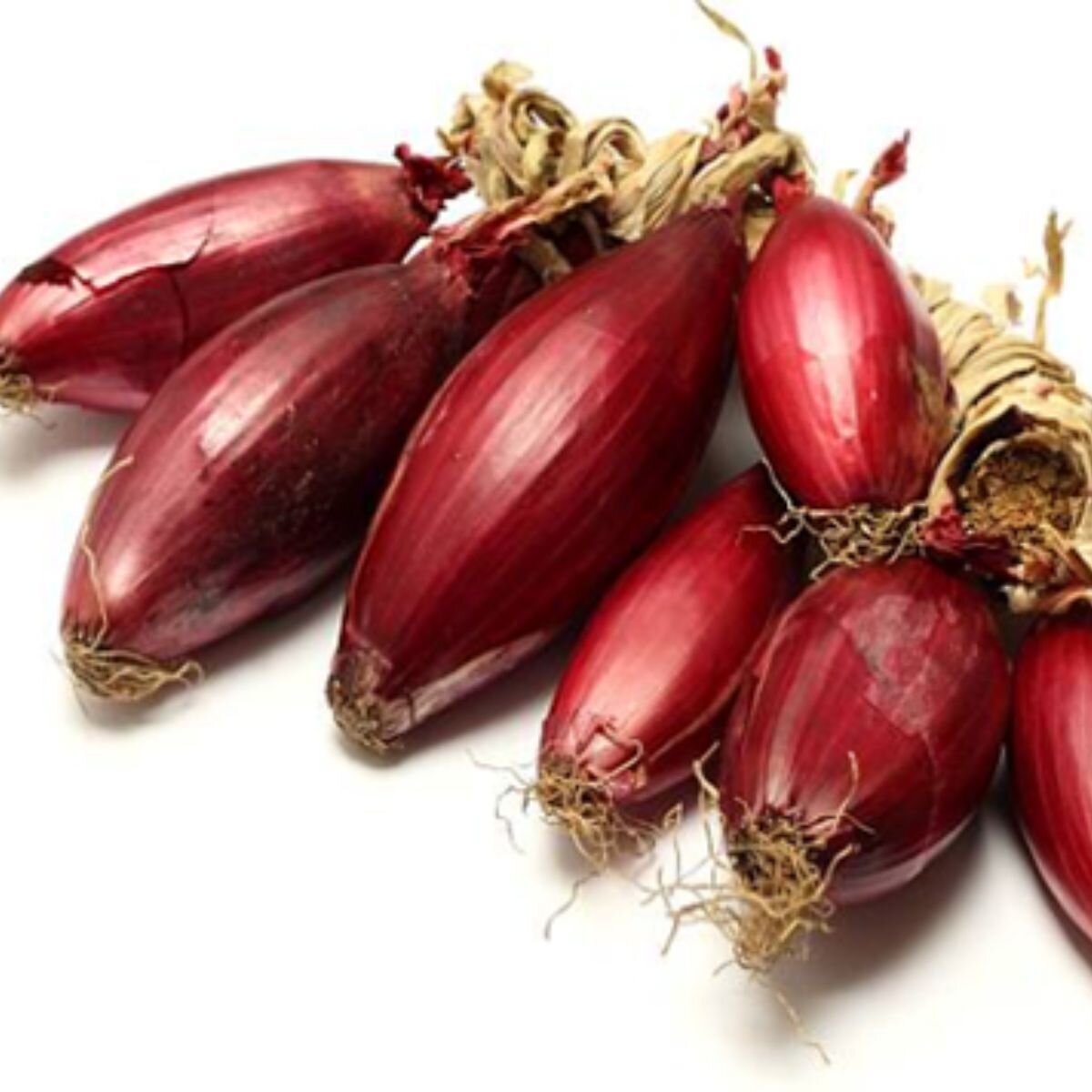 Onion Long Tropea Red Seeds