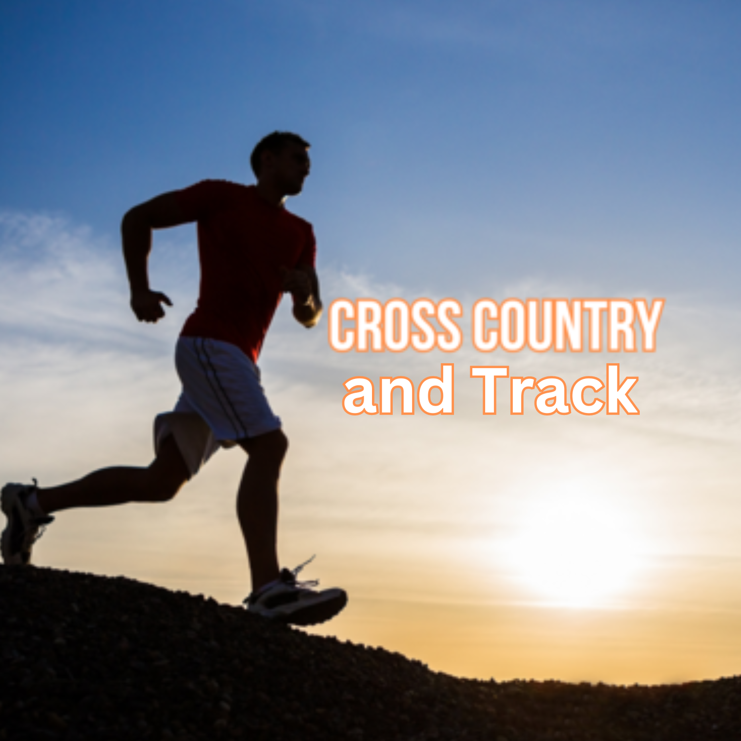 Massillon Cross Country and Track and Field