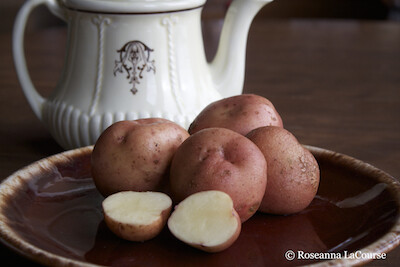 Conventional Red Gold Seed Potatoes Early Season Seed Potatoes The